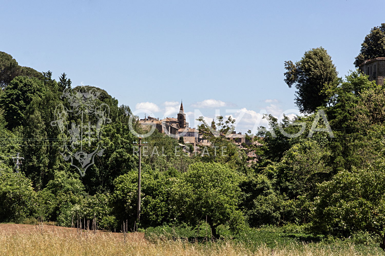 Country estate in Capranica, between Rome and Tuscia