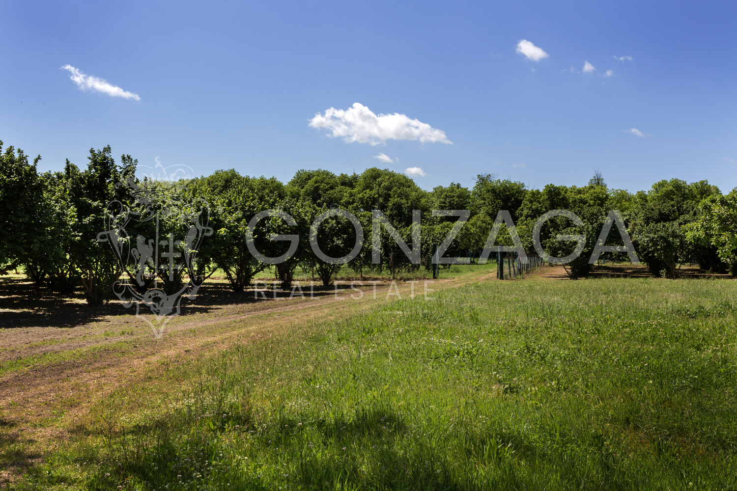 Country estate in Capranica, between Rome and Tuscia