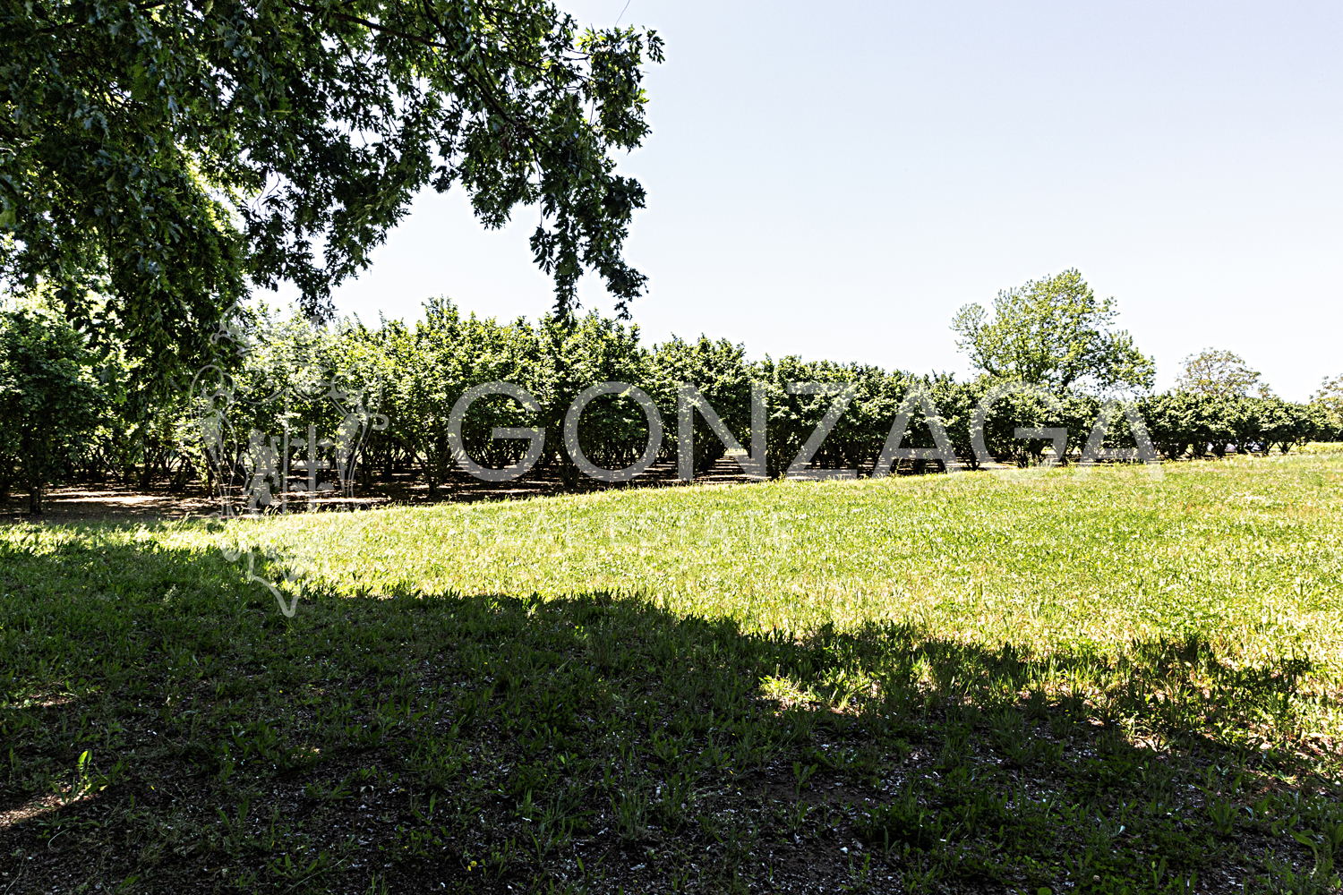 Country estate in Capranica, between Rome and Tuscia