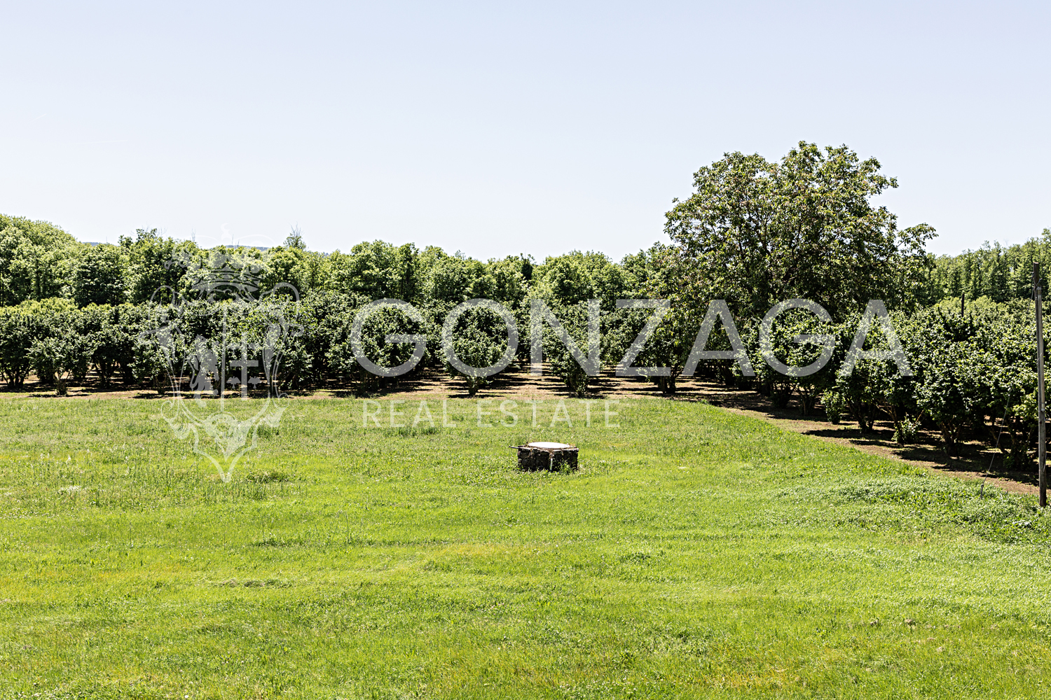 Country estate in Capranica, between Rome and Tuscia