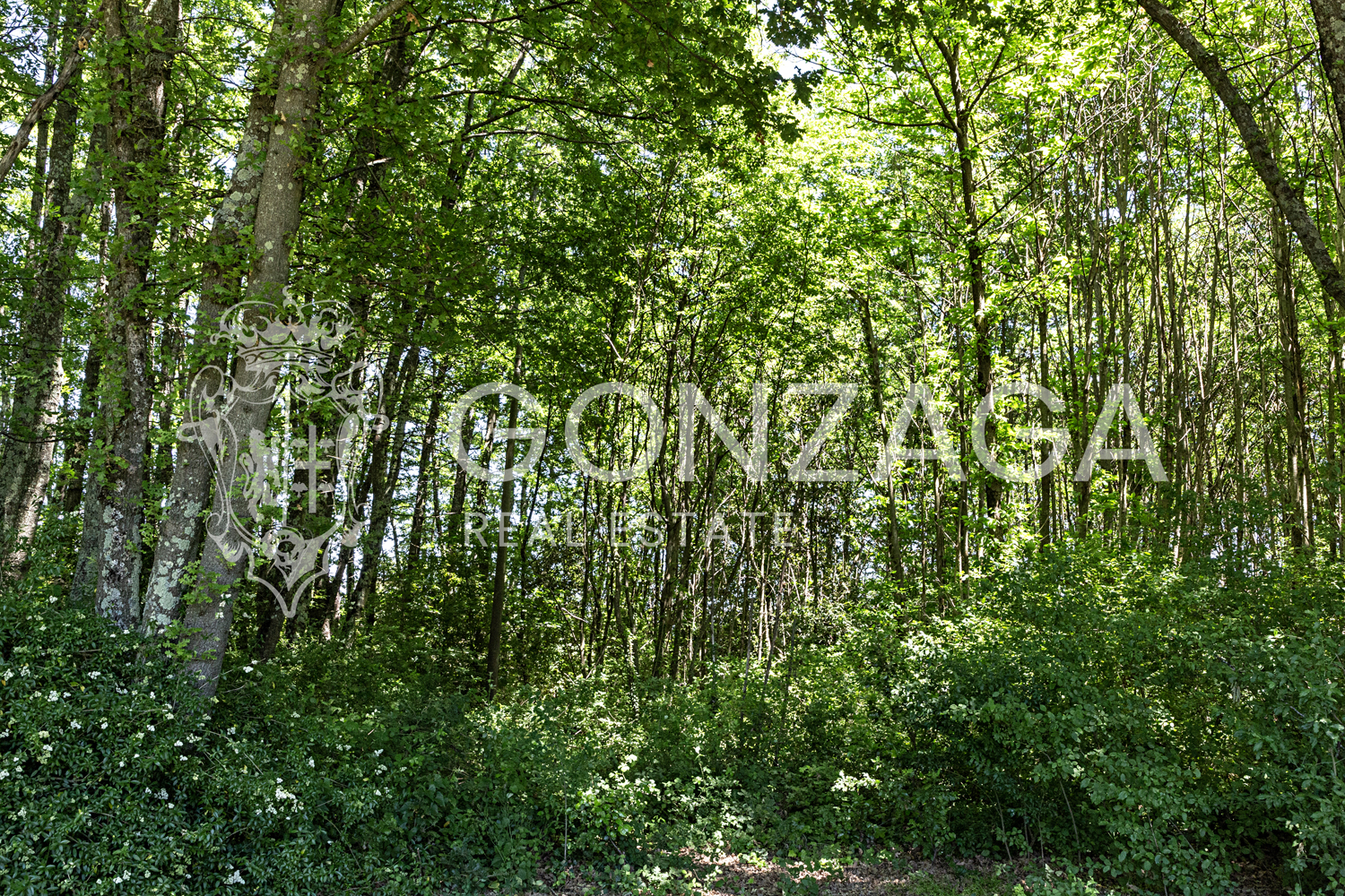 Country estate in Capranica, between Rome and Tuscia
