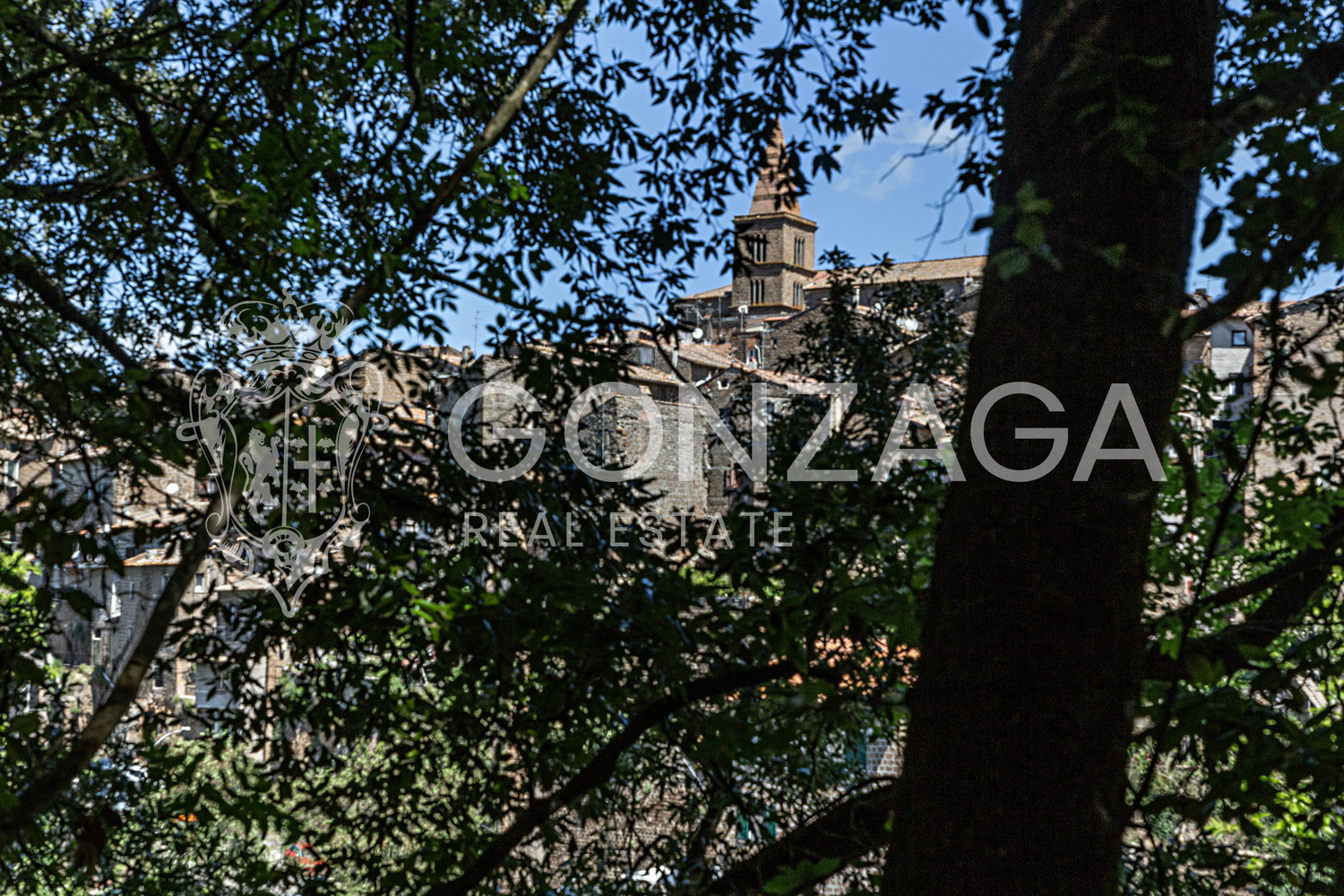Country estate in Capranica, between Rome and Tuscia