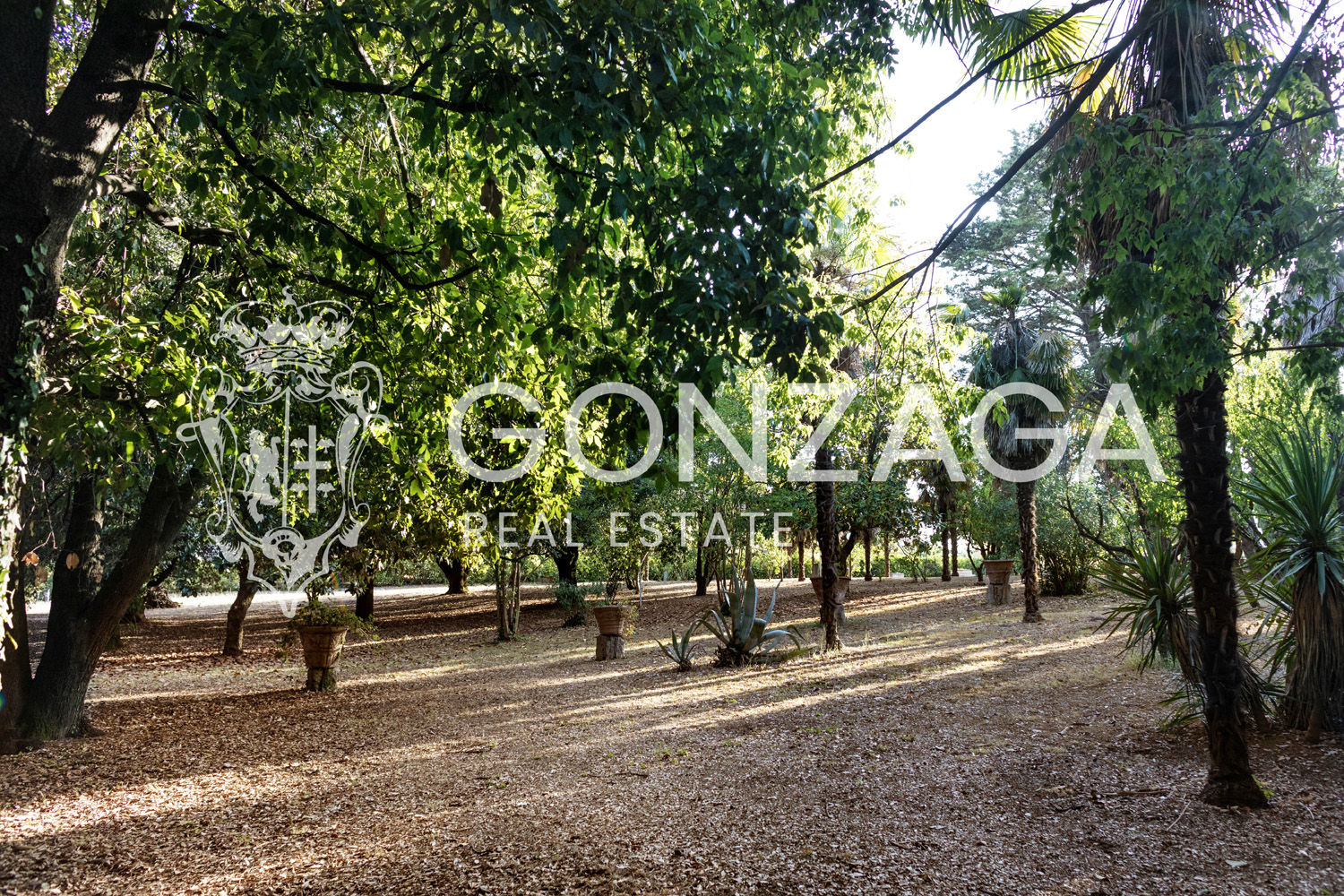Villa Poggiolo – Vasanello (VT)