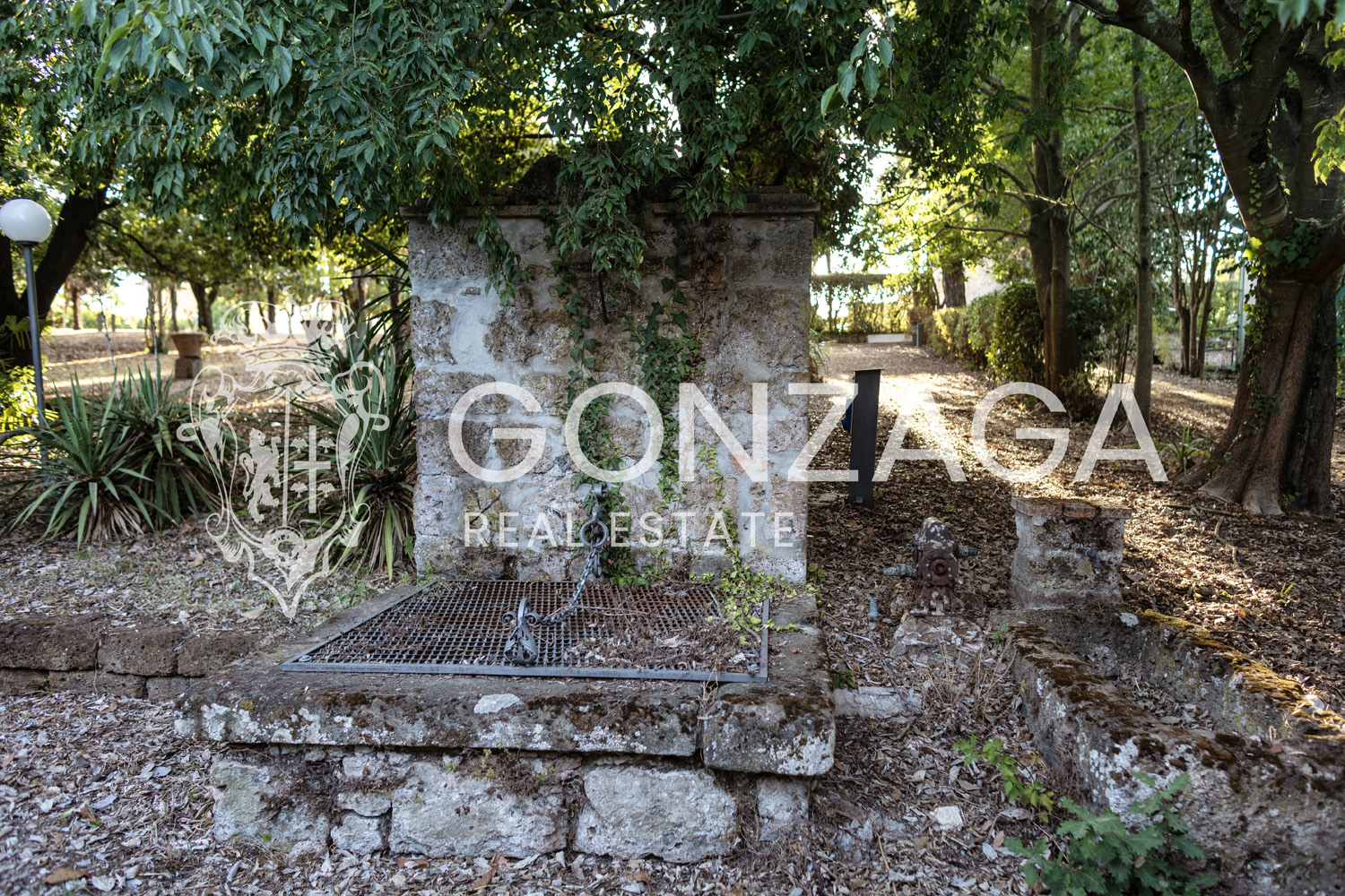 Villa Poggiolo – Vasanello (VT)