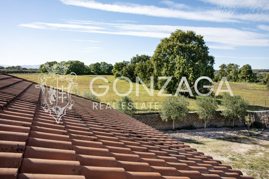 Casale_Gallese__05 copia