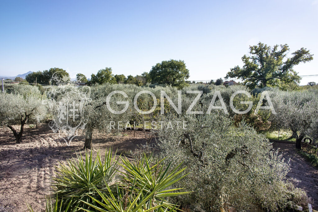 Casale_Gallese__08 copia