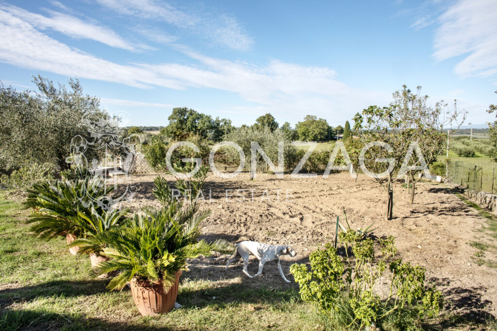 Casale_Gallese__11 copia