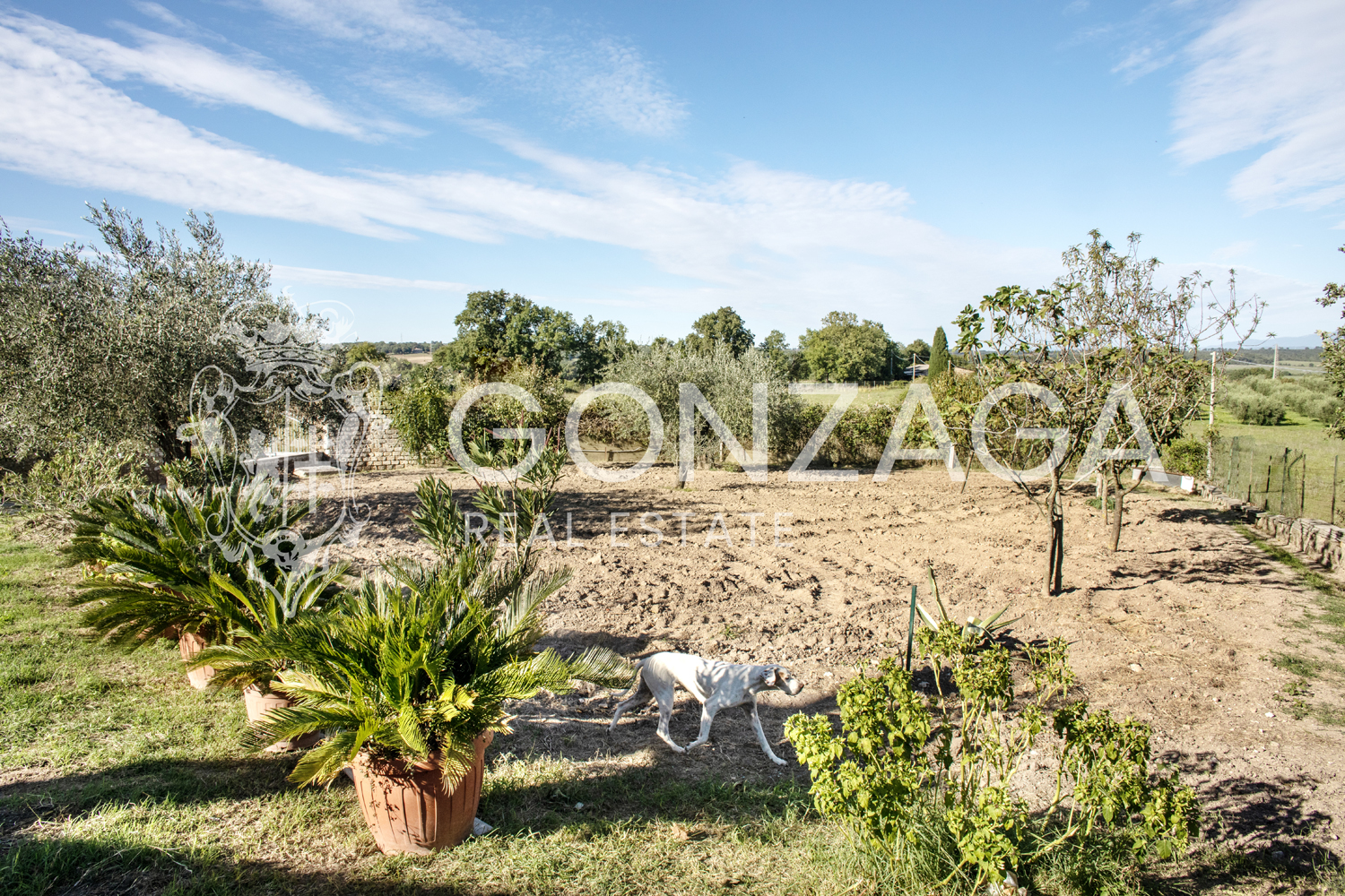 Panoramic farmhouse in Gallese, in the heart of Tuscia