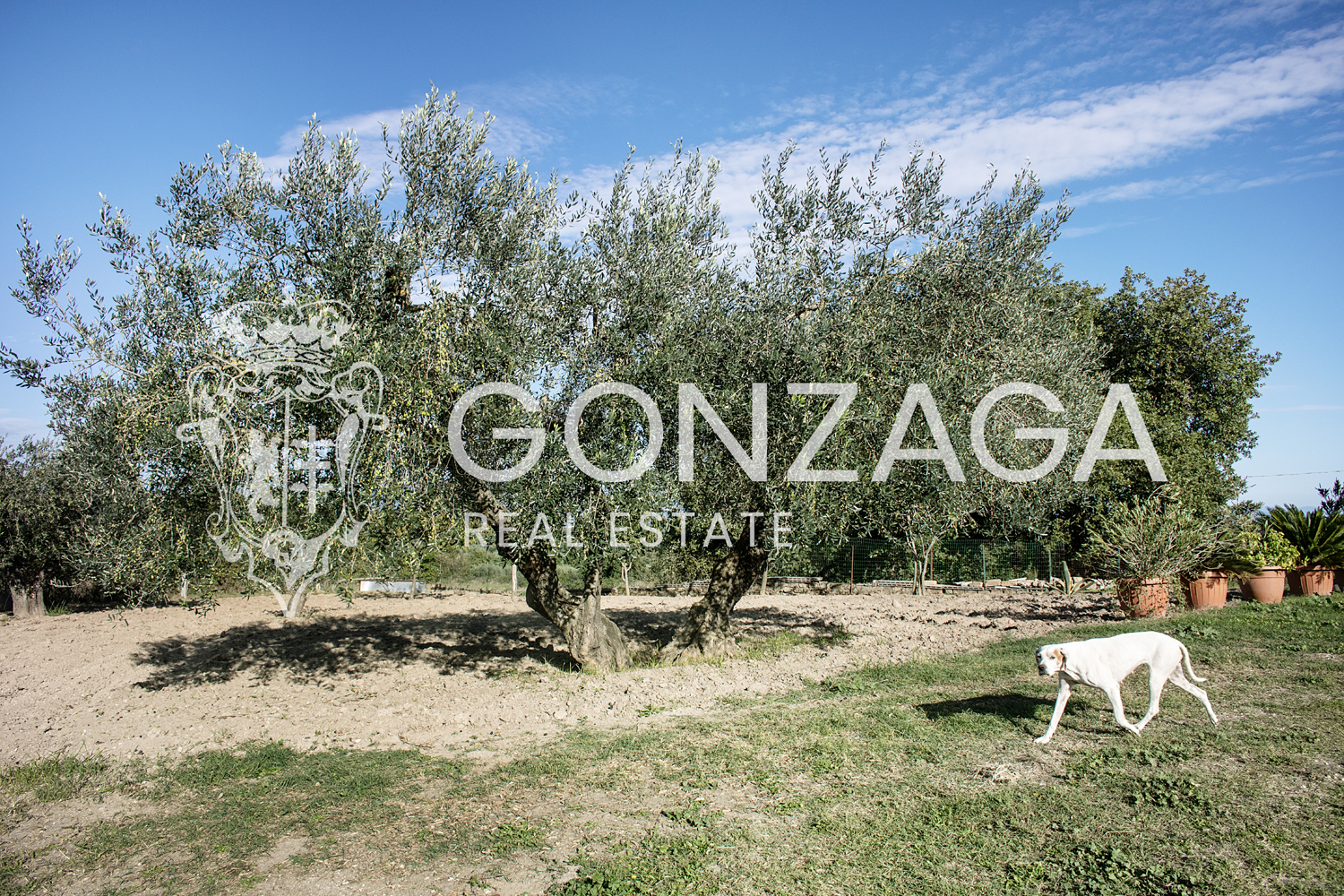 Panoramic farmhouse in Gallese, in the heart of Tuscia