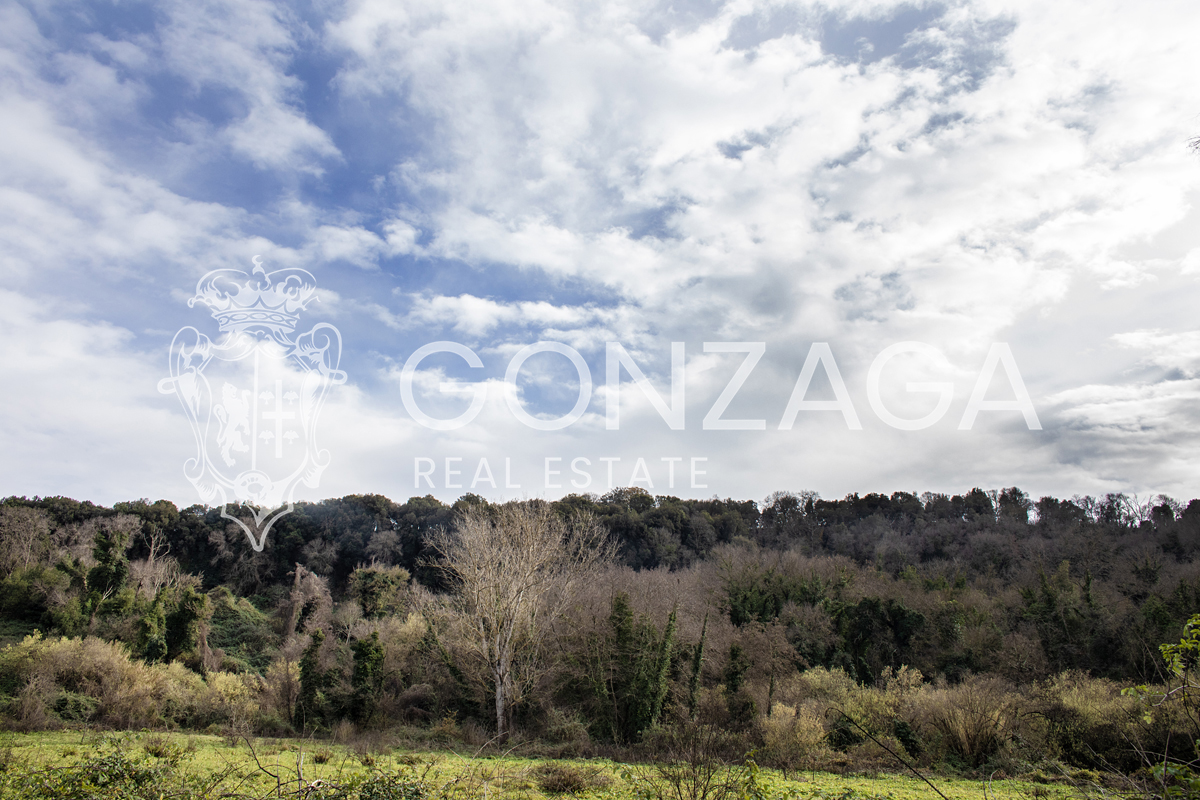 Country estate with 17 hectares near Rome