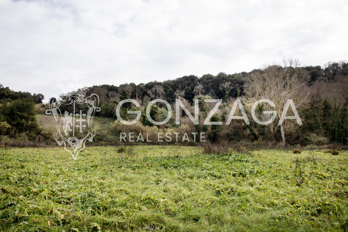 Country estate with 17 hectares near Rome