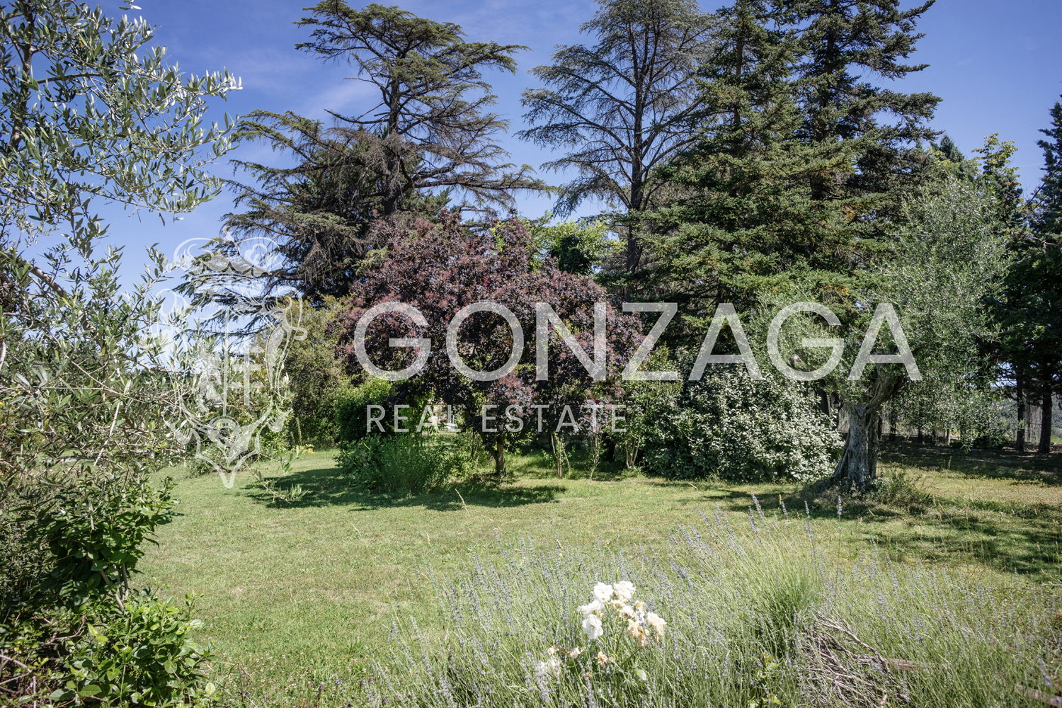 Restored and panoramic stone country house with two hectares of land near Amelia (TR)