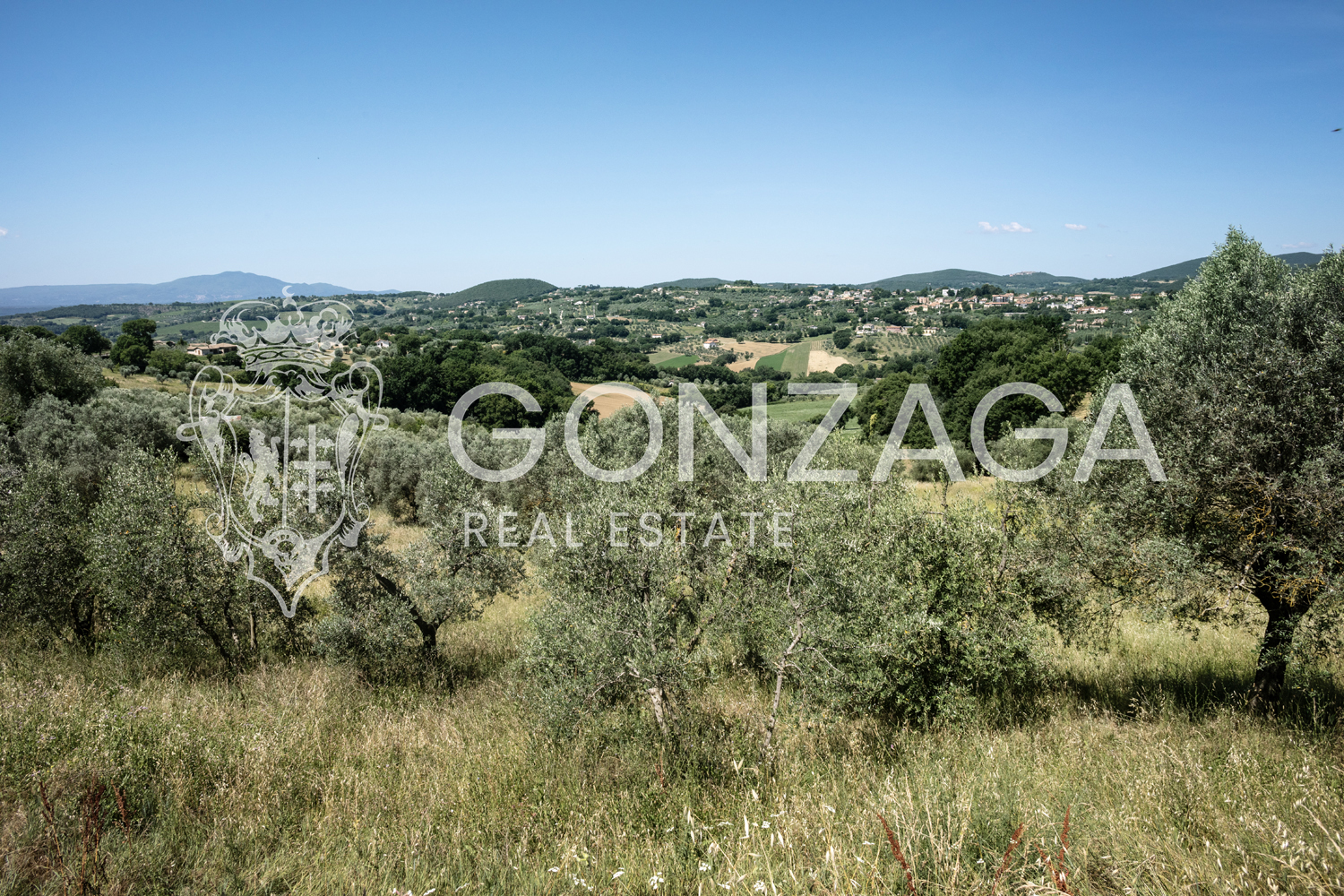 Restored and panoramic stone country house with two hectares of land near Amelia (TR)