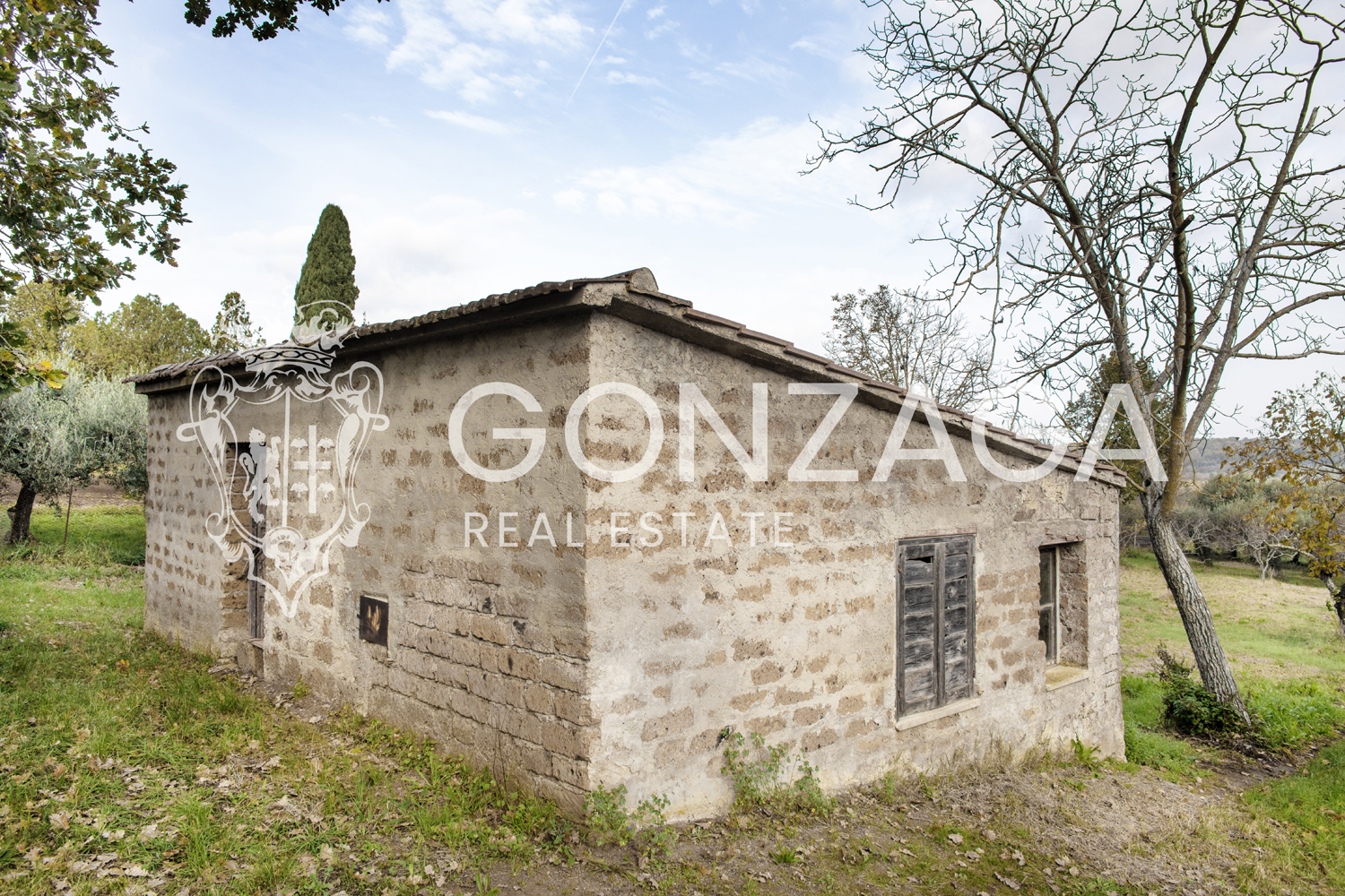 Country cottage with olive grove in Gallese