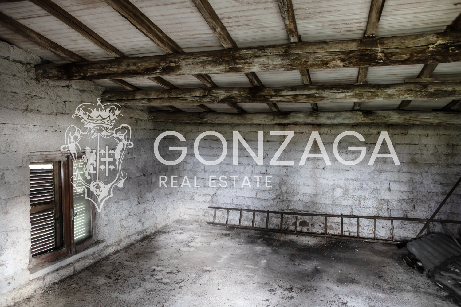 Country cottage with olive grove in Gallese