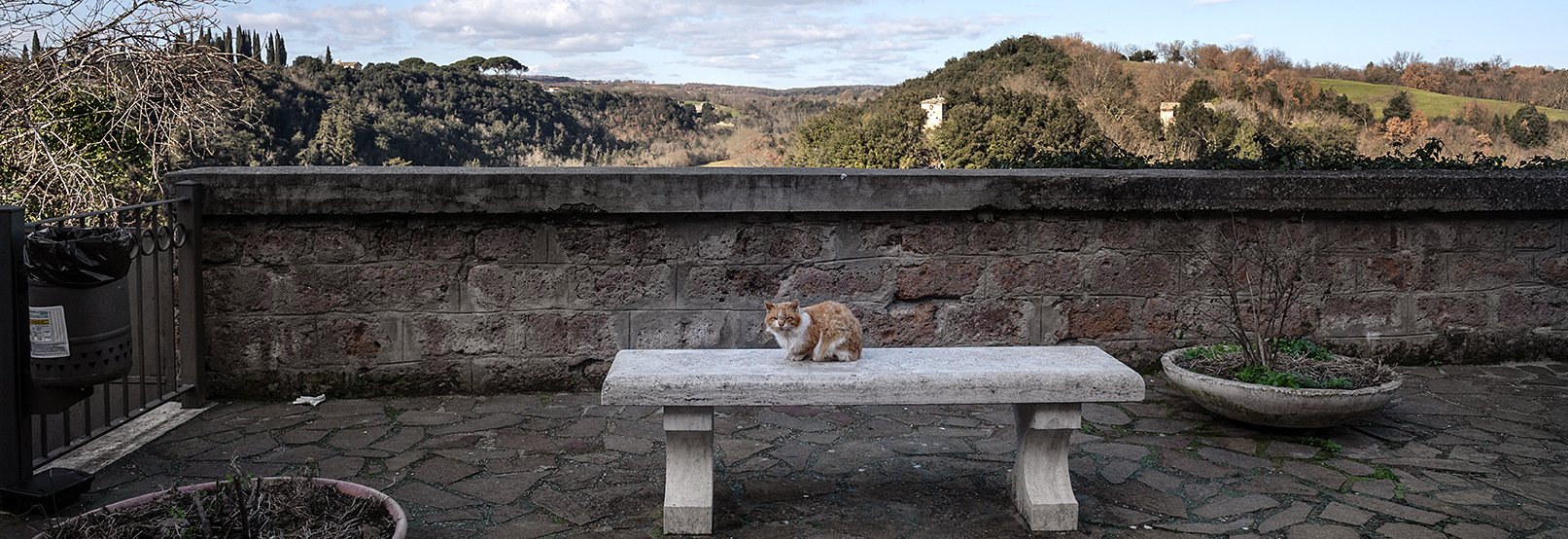 Gallese: a village carved by time