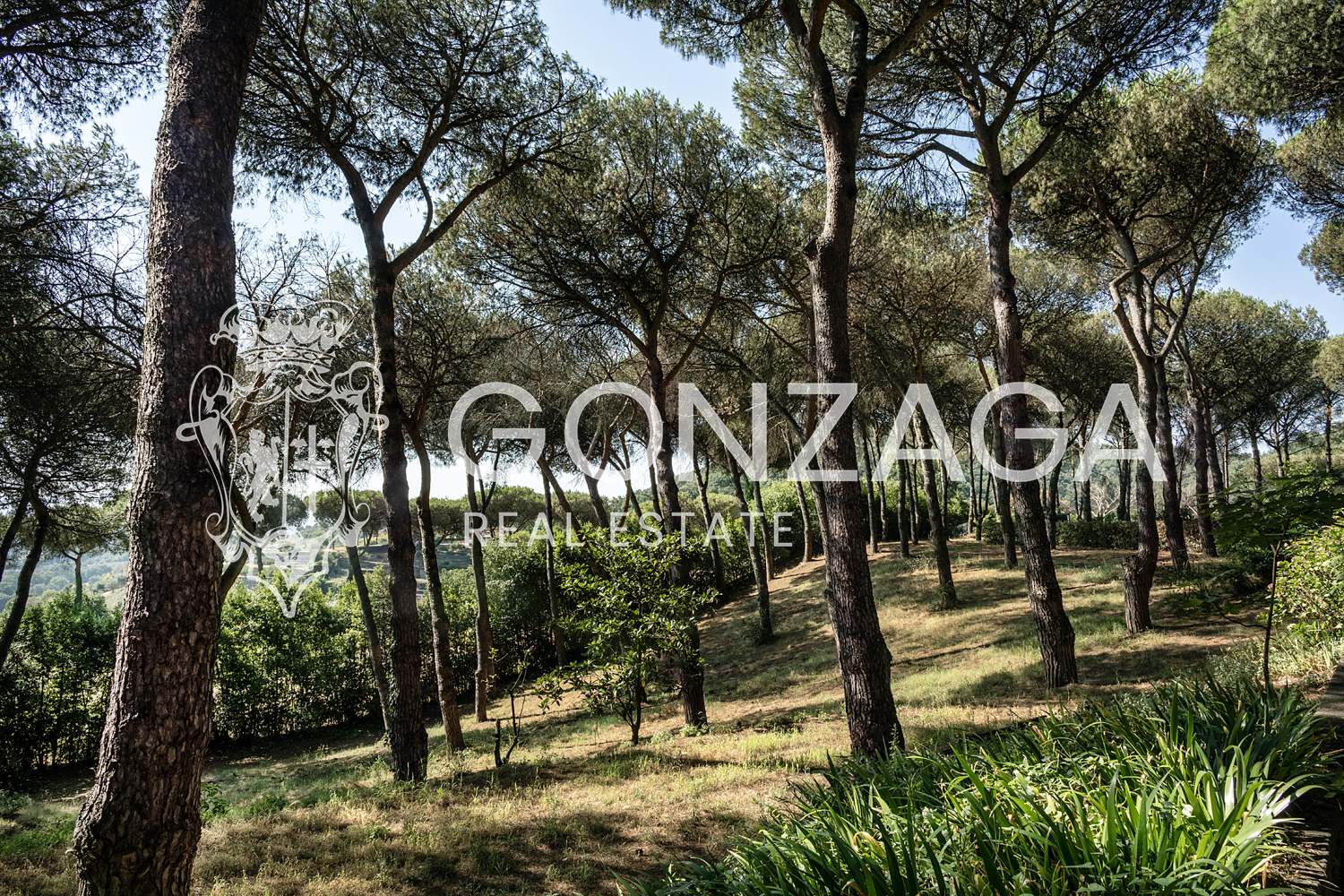 A country estate just a few kilometres from Rome