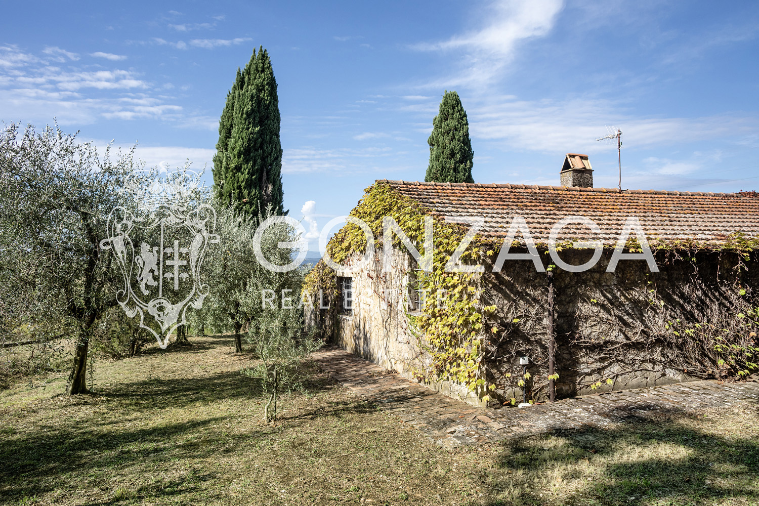 Country House Among Vineyards and Olive Trees in the Narni Countryside