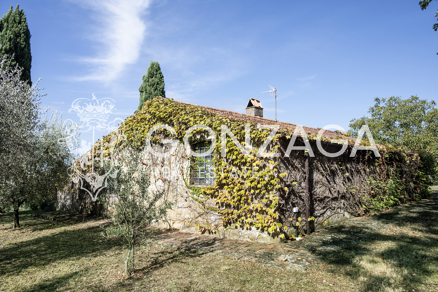 Country House Among Vineyards and Olive Trees in the Narni Countryside