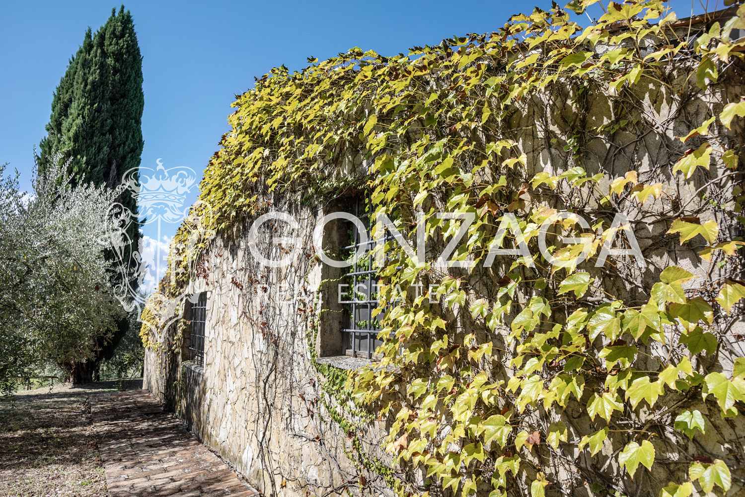 Country House Among Vineyards and Olive Trees in the Narni Countryside