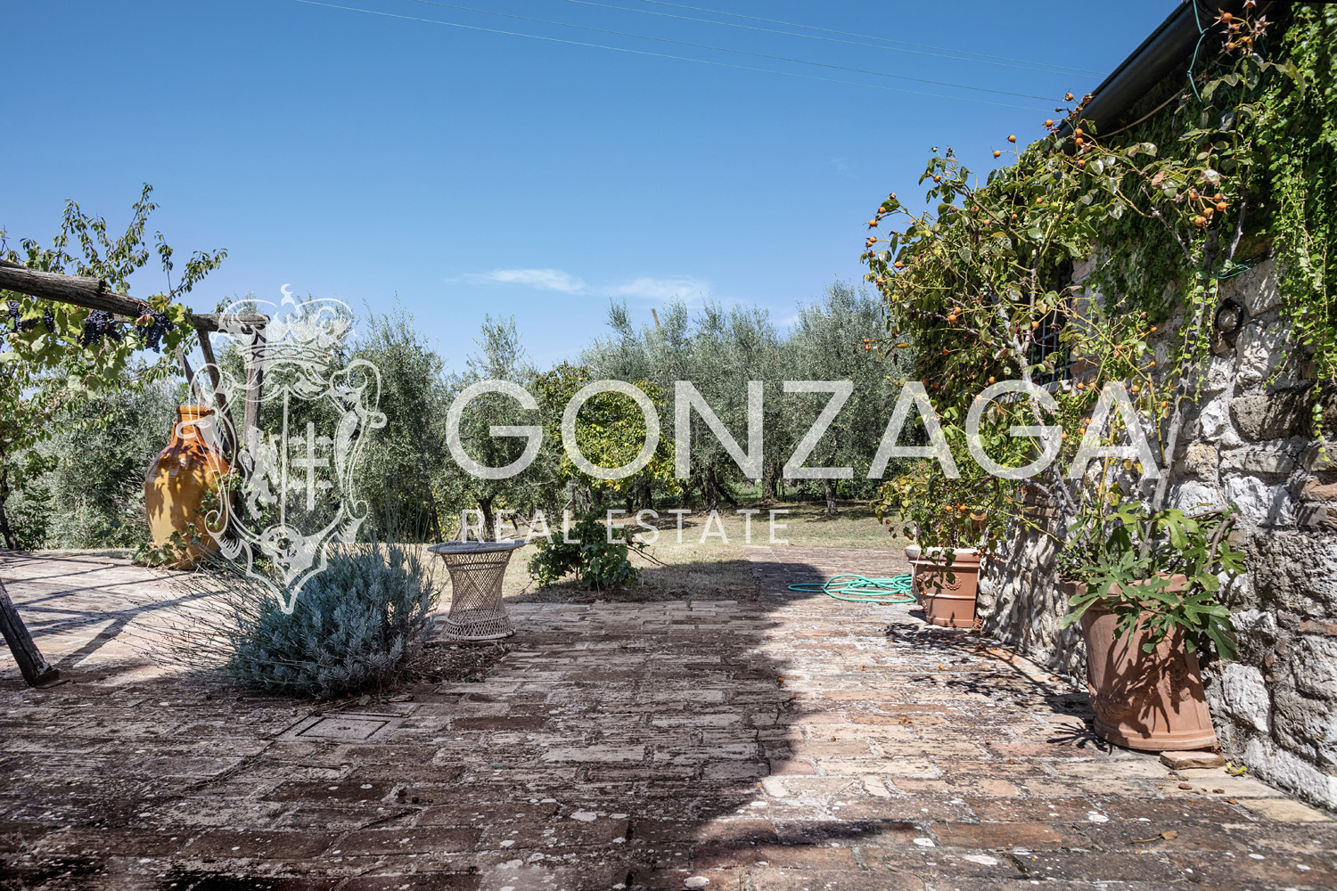Country House Among Vineyards and Olive Trees in the Narni Countryside