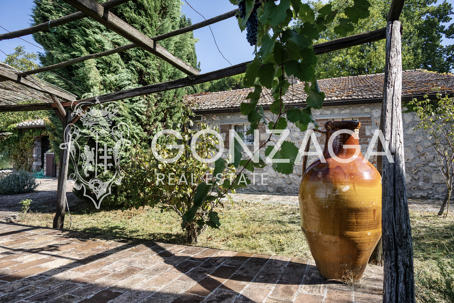 Country House Among Vineyards and Olive Trees in the Narni Countryside