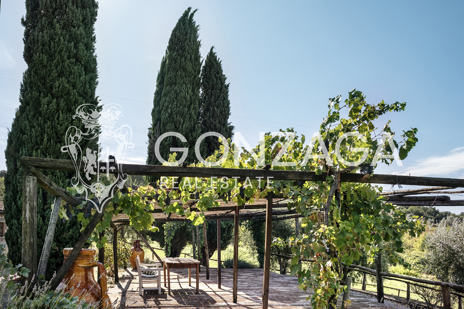 Country House Among Vineyards and Olive Trees in the Narni Countryside