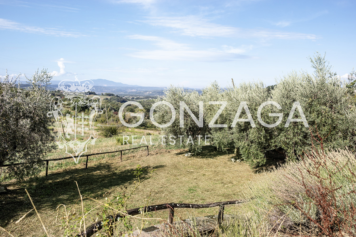 Country House Among Vineyards and Olive Trees in the Narni Countryside