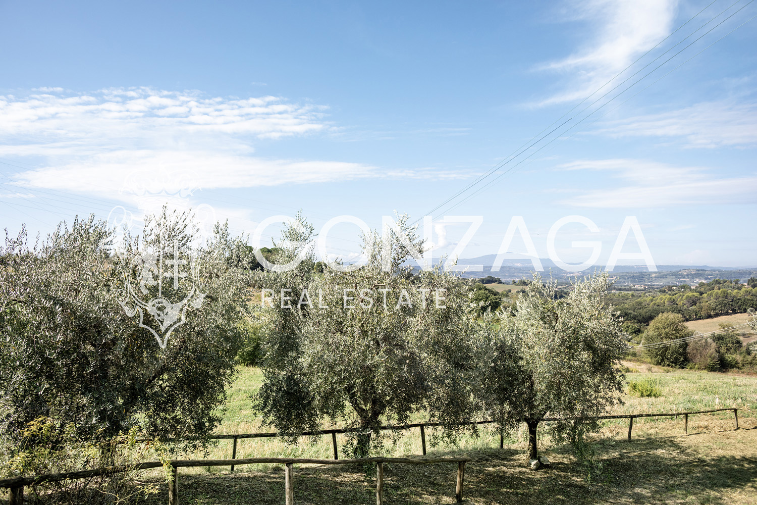 Country House Among Vineyards and Olive Trees in the Narni Countryside