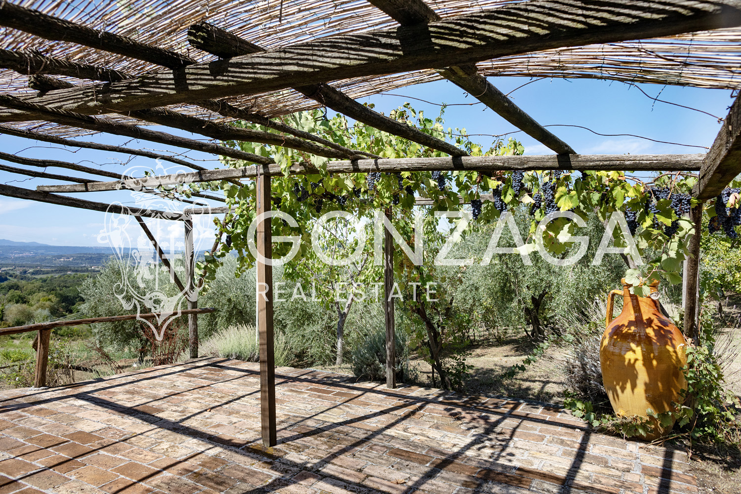 Country House Among Vineyards and Olive Trees in the Narni Countryside