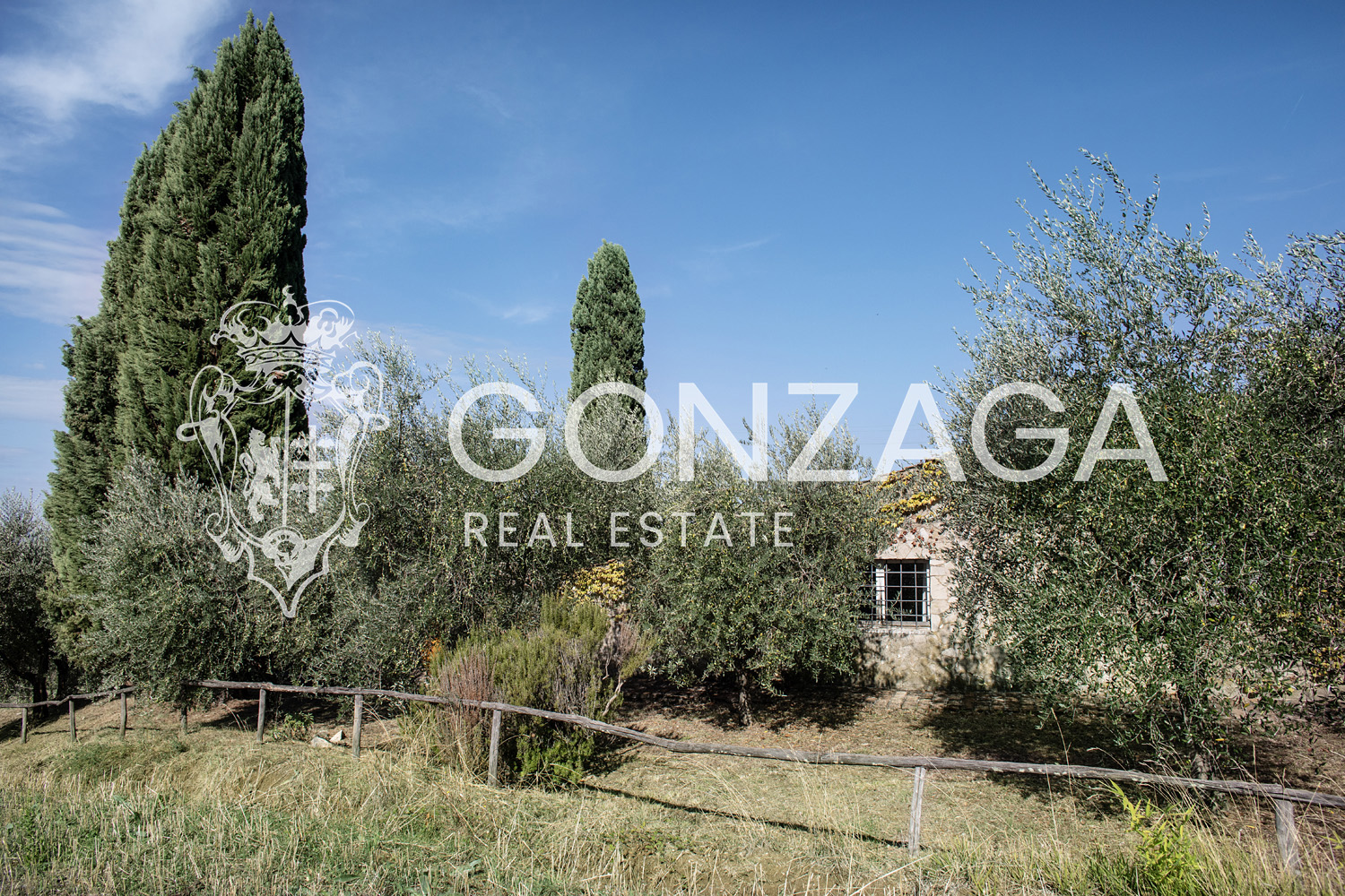 Country House Among Vineyards and Olive Trees in the Narni Countryside