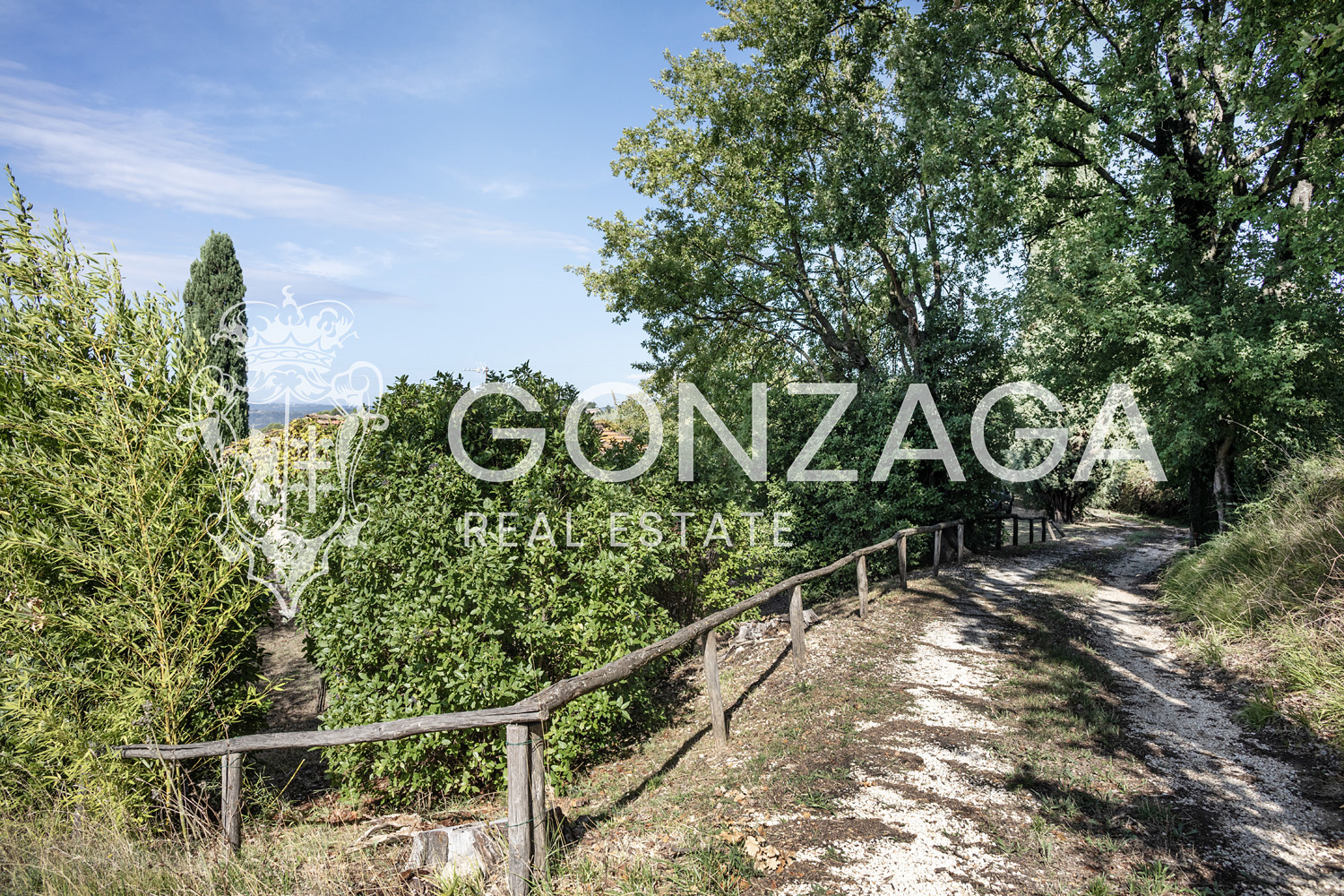 Country House Among Vineyards and Olive Trees in the Narni Countryside
