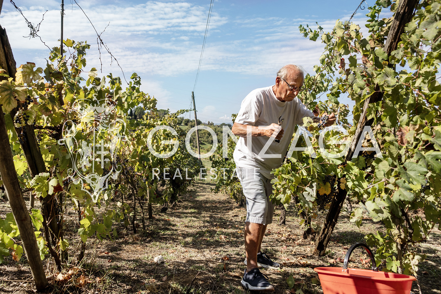 Country House Among Vineyards and Olive Trees in the Narni Countryside