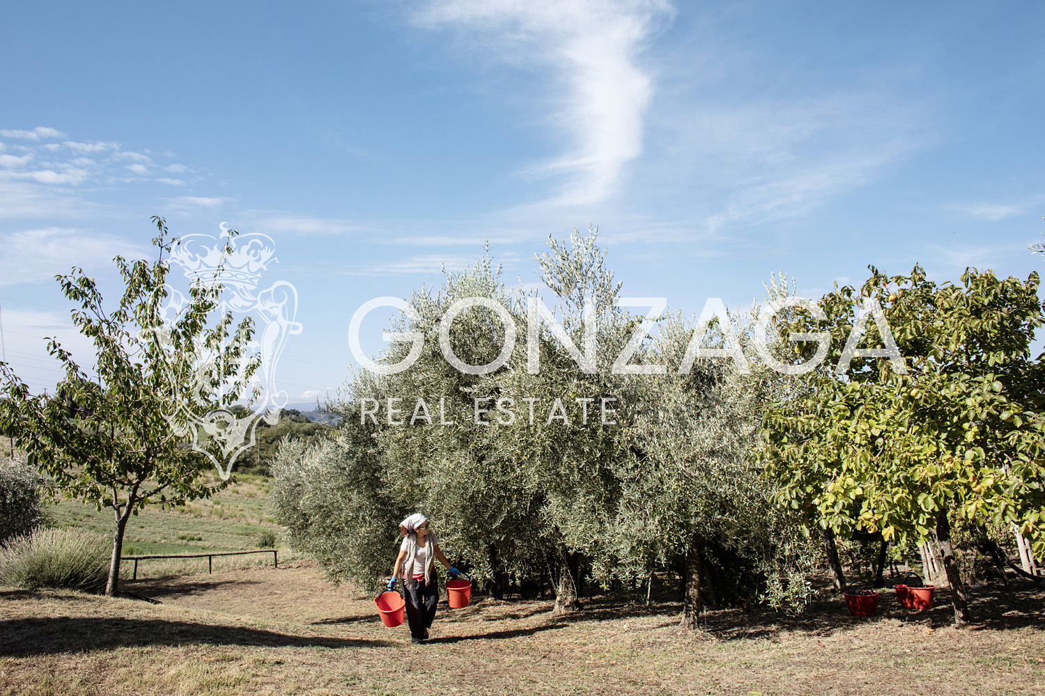 Country House Among Vineyards and Olive Trees in the Narni Countryside
